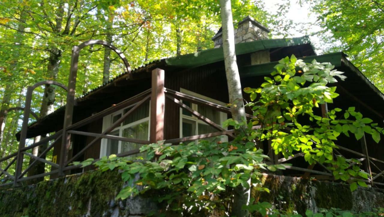 Habitat Mesire Guest House Mengen Екстериор снимка
