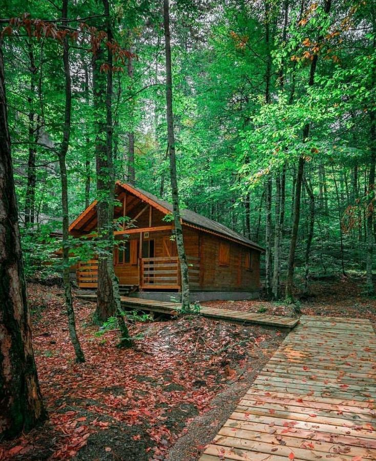 Habitat Mesire Guest House Mengen Екстериор снимка