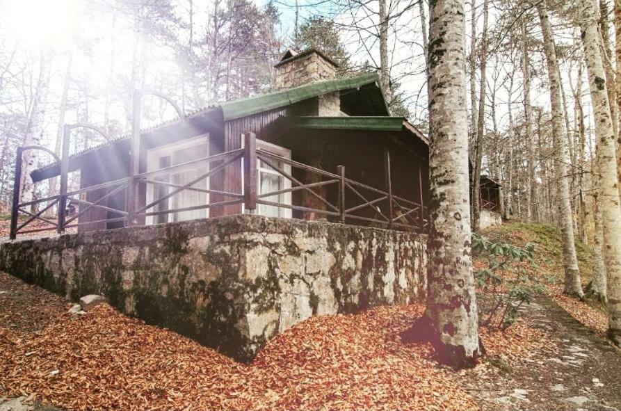 Habitat Mesire Guest House Mengen Екстериор снимка