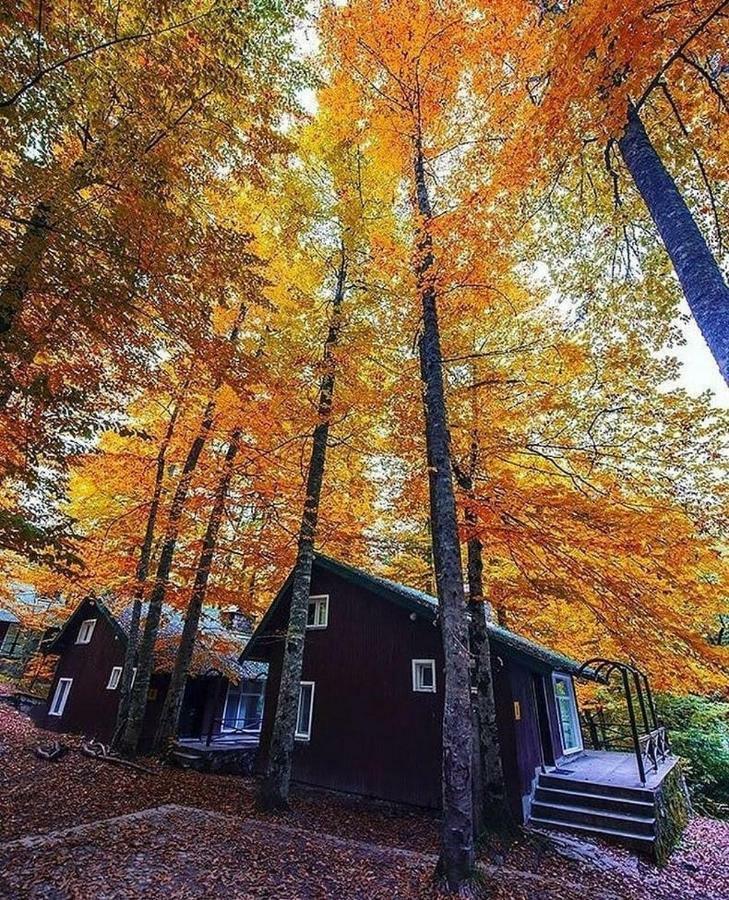 Habitat Mesire Guest House Mengen Екстериор снимка