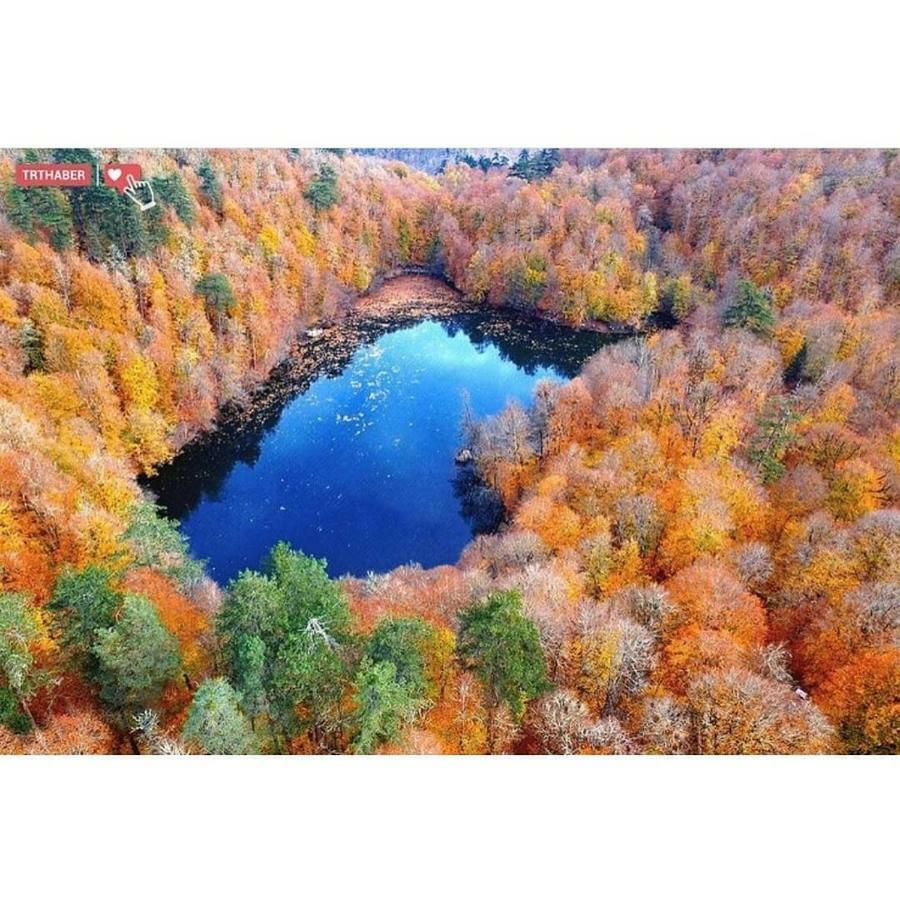 Habitat Mesire Guest House Mengen Екстериор снимка