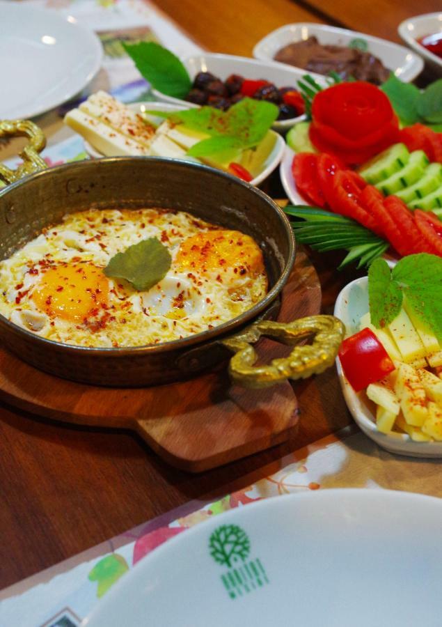 Habitat Mesire Guest House Mengen Екстериор снимка